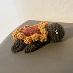 Sunflower Turtle 