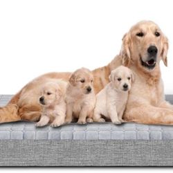 Dog ,Air Mattress Bed 