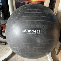 Exercise ball 