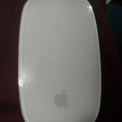 Apple Mouse 