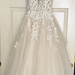 Wedding Dress – Champagne/Ivory 