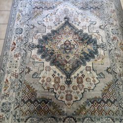 Large Area Rug – 6’6” x 9’1” – Neutral Pattern ($59)