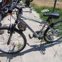Roadmaster Bike GREY
