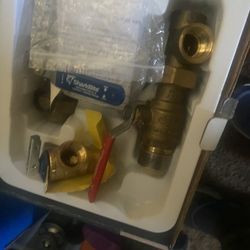 Tankless Valves