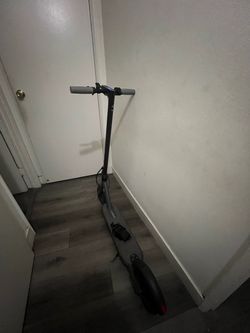 Electric Standing Scooter