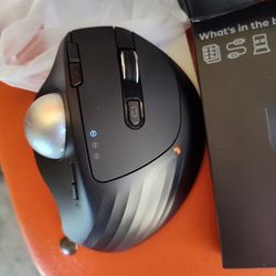 Mouse