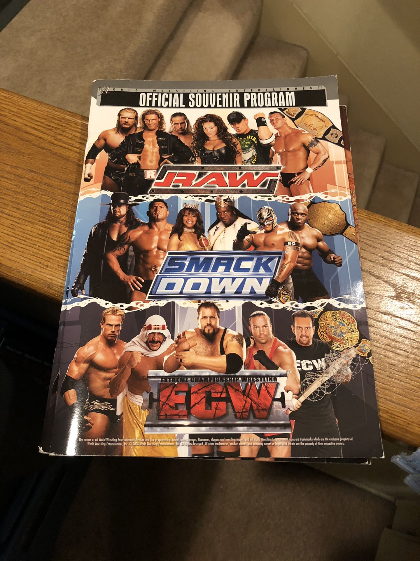 WWE ECW Official Souvenir Program Raw Smackdown wcw tna wwf wrestling rare vintage 2005