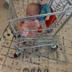 Kids Shopping Cart