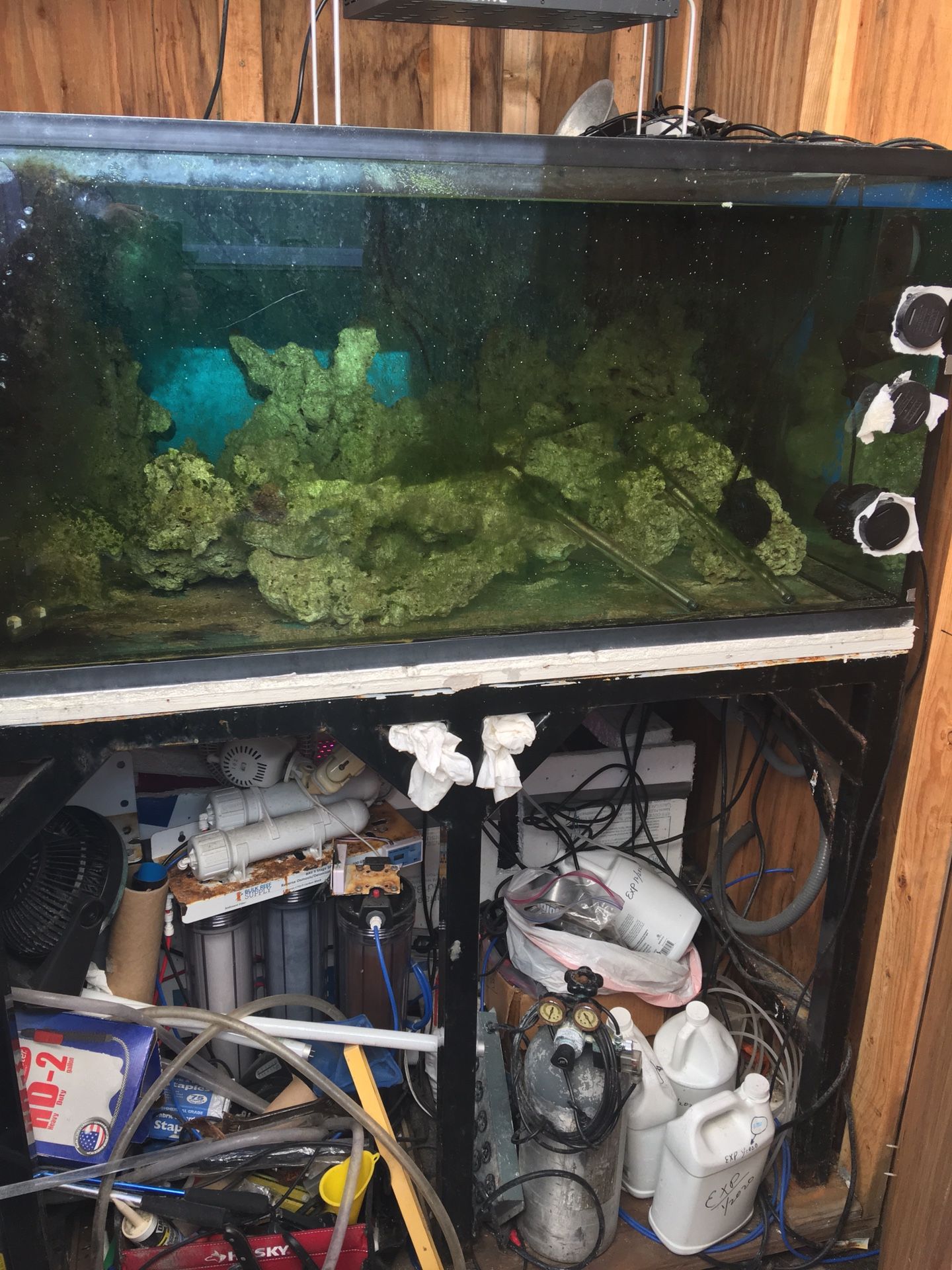 Saltwater fish tanks / rocks / lights / food / pumps