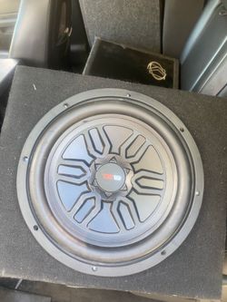 DS 18 12 inch subwoofer