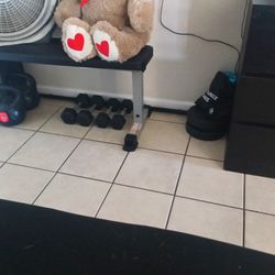 Weights And Bench 