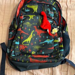 Gently used boys backpack
