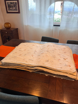 Incredible Handmade Artisan Paper Lot 20 Sheets Large 23x31 Botanical Fiber Art