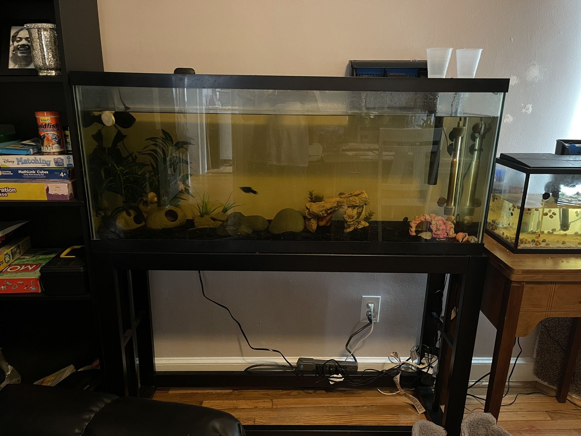 50 Gallon Aquarium With Stand, Lights And Filter