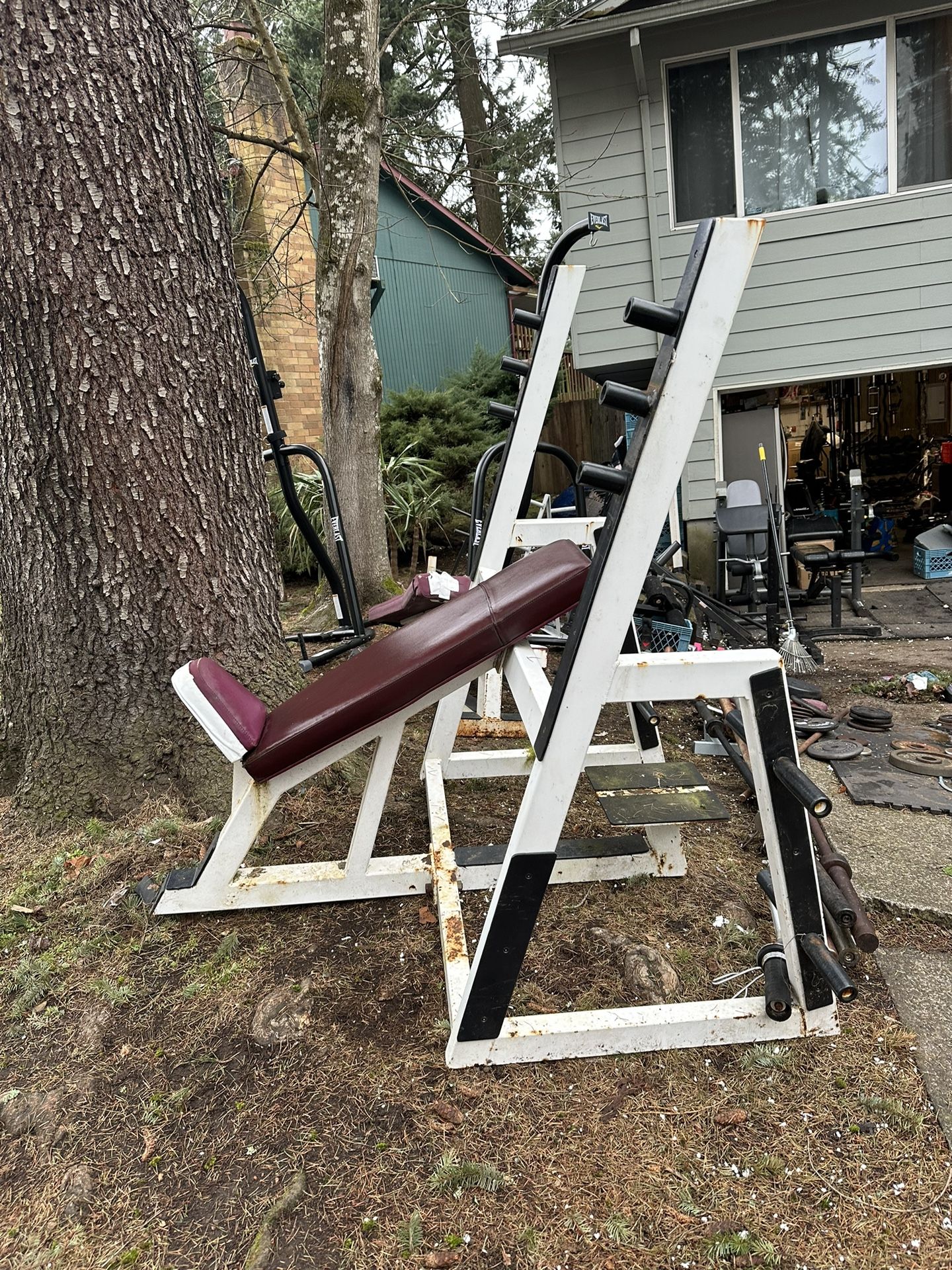 Commercial Incine bench
