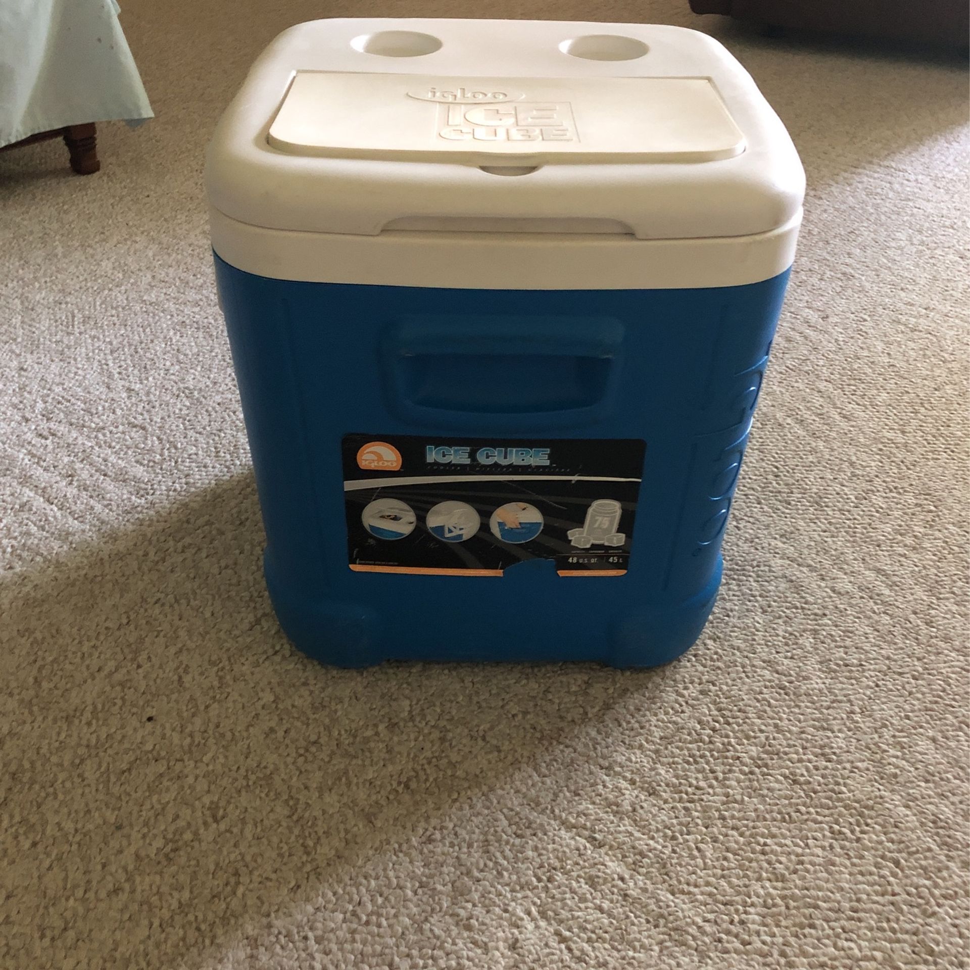 Igloo ice cube cooler 48 qt 2025