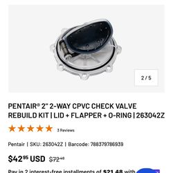 $10-PENTAIR® 2" 2-WAY CPVC CHECK VALVE REBUILD KIT | LID + FLAPPER + 0-RING | 263042Z