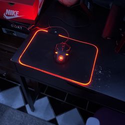 Mouse