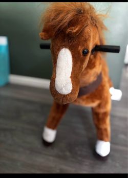 Kids pony ride