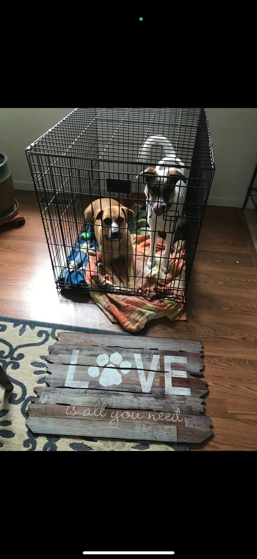 Medium /Large Dog Crate Dogs Not Included