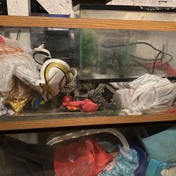 Fish Tank With Stand