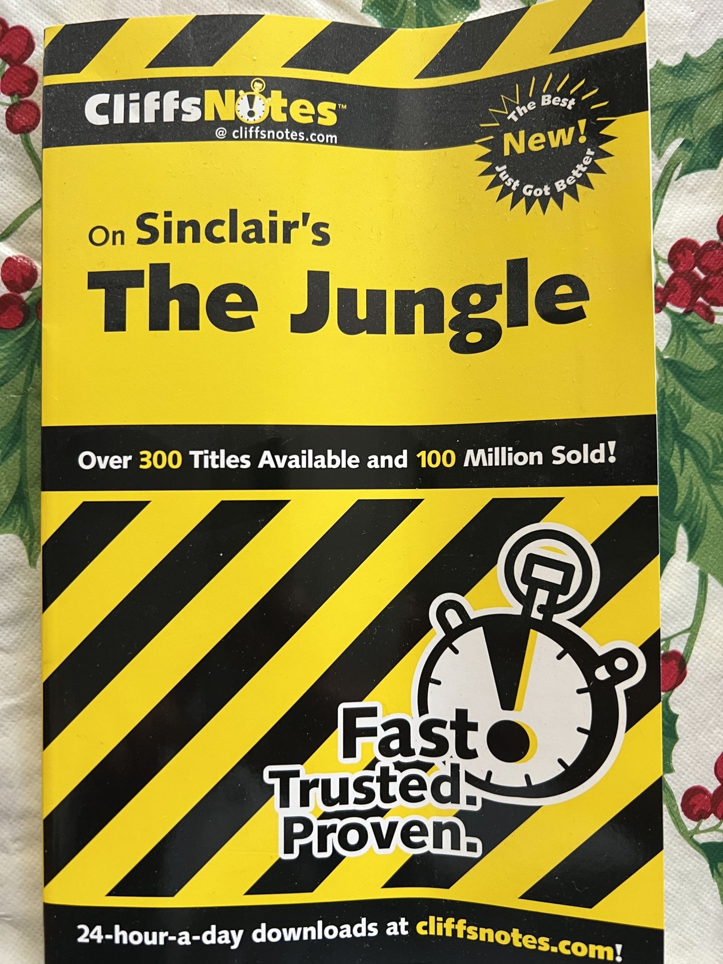 Brand New The Jungle Cliffnotes