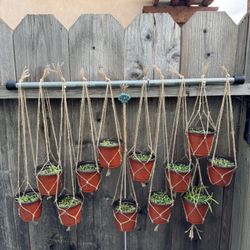 3in String Of Pearls With Hanging Twine Macrame