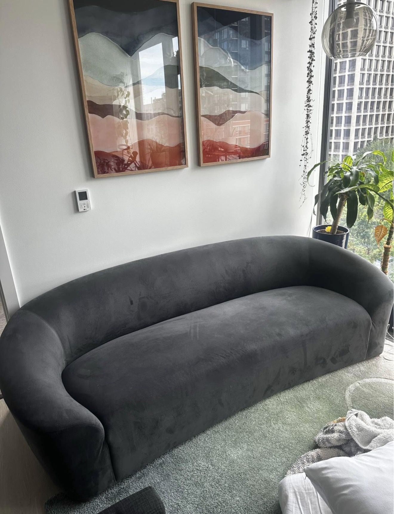 All Modern - Curved Velvet Sofa 89”