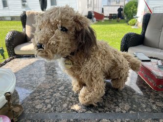 Vintage 1978 BENJIE 15” Plush Dog! Scruffy Benjie DAKIN Mulberry Square RARE!