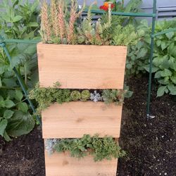 Succulent Arrangement In Three Tiered Wood Planter