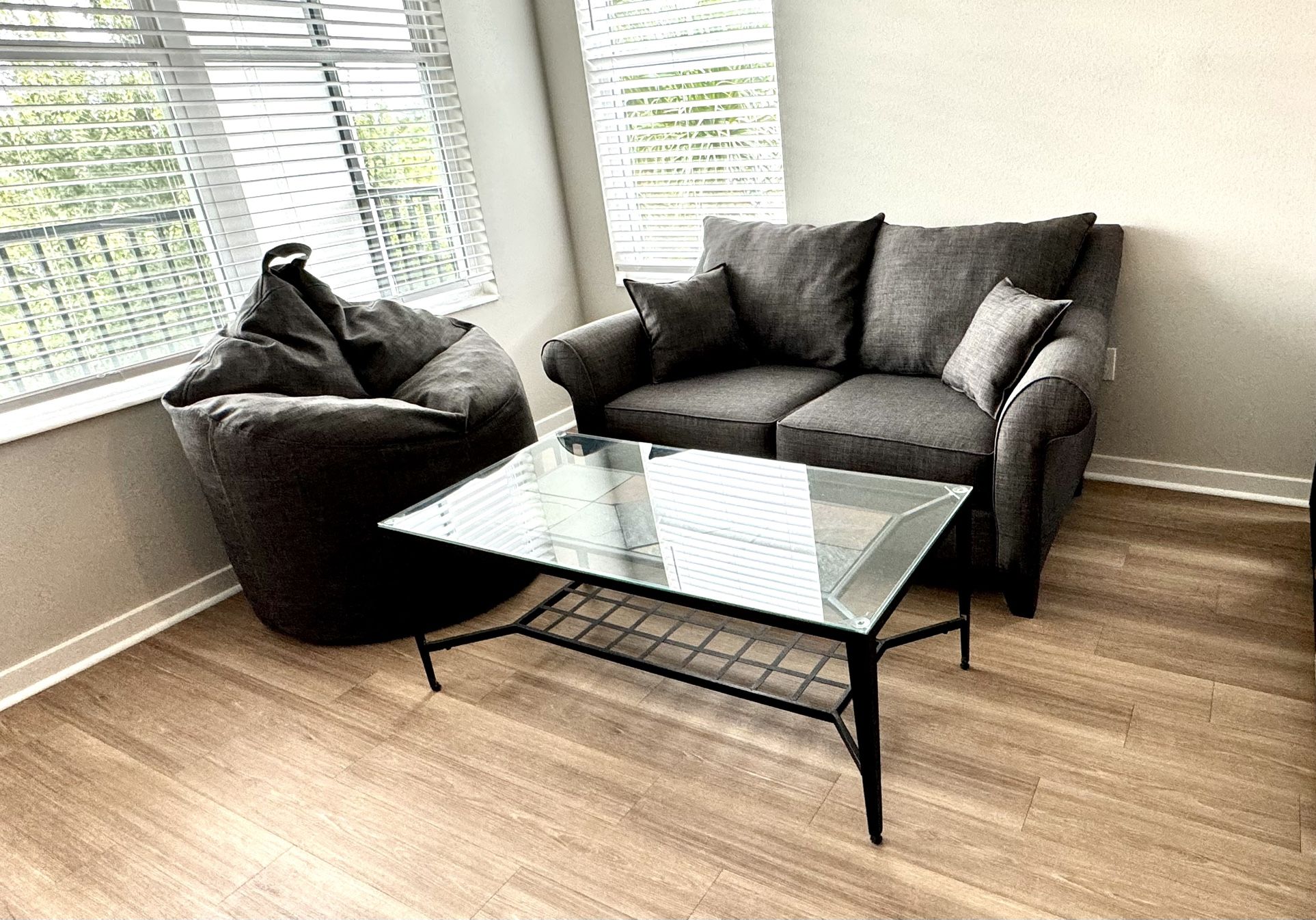 Sofa (loveseat) + Bean bag chair + coffee table