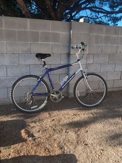Big blue bike for adults