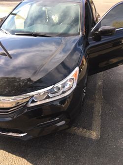 Honda Acoord 2016 sports salvaje