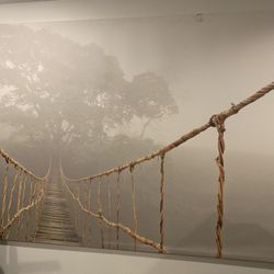 Ikea Jungle Journey Bridge Canvas -large 55x78 