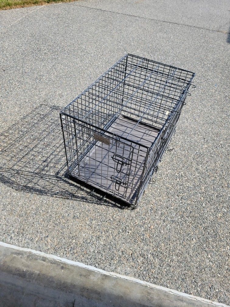 Petco Small Foldable Dog