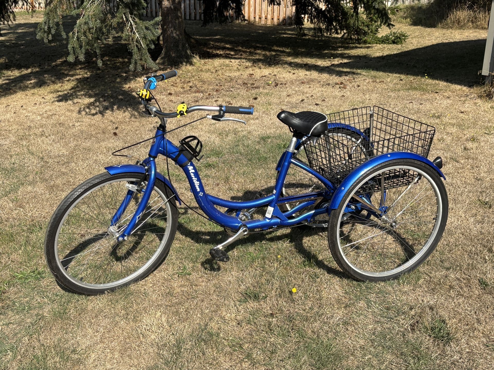 Schwinn Meridian Adult Trike