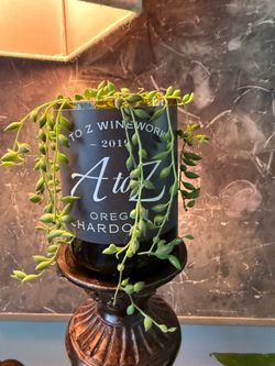 String of Tears plant in a cut A to Z Wine bottle