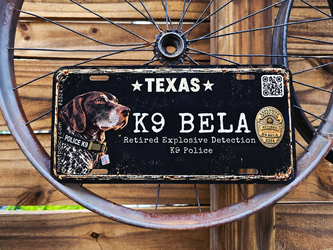 Custom Personalized License Plates