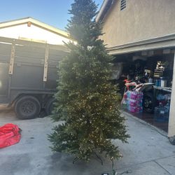 Christmas Tree 10 Ft $120