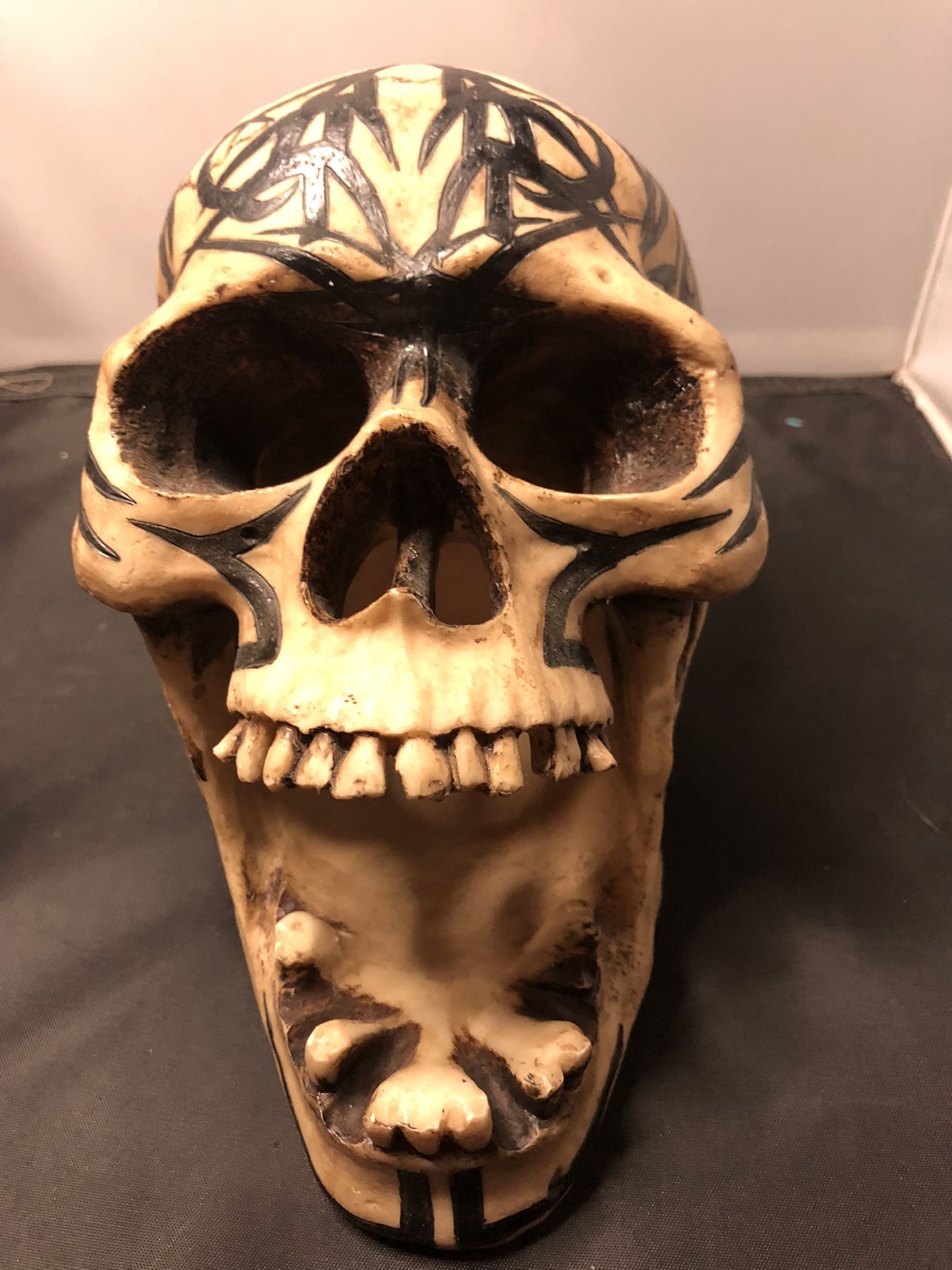 Apple - SKULL様 Bone Clones Apple Head Chihuahua Skull Cast (Replica) BC-348