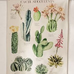 Tapestry Tapestries Set Cacti And Painted Landscape Medallion With Tassels 