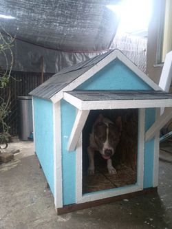 Large dog house