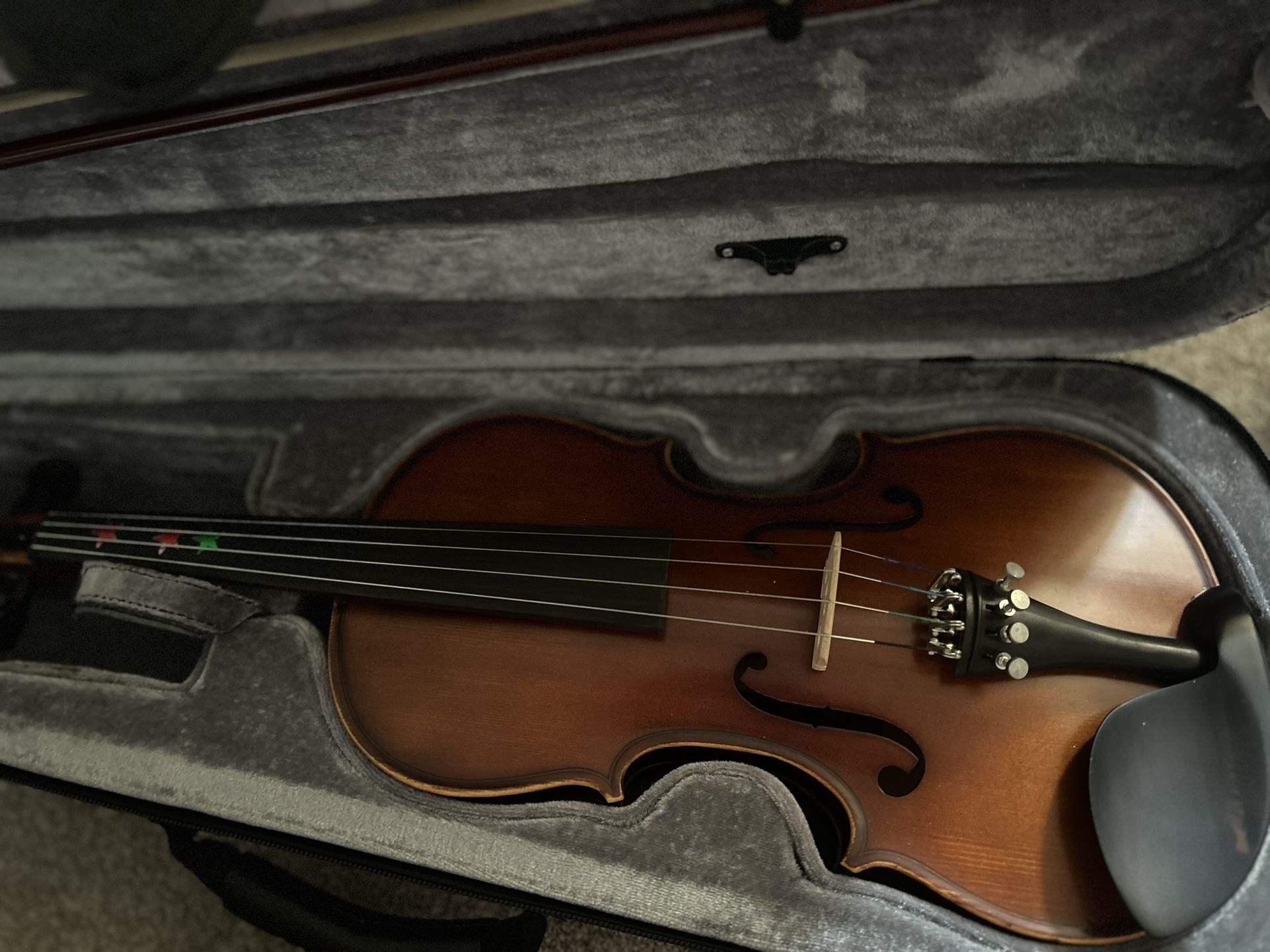 Violin
