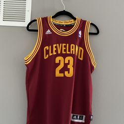 Lebron Jersey