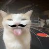 Alan