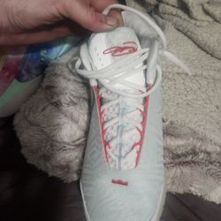 Lebrons Size 10