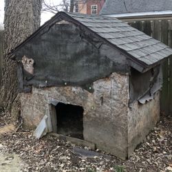 Big Solid Dog House