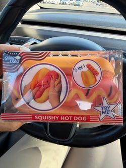 sunn days hot dog squishy brand new
