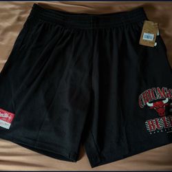 Mitchell And Ness Bulls Mesh Shorts Size XXL