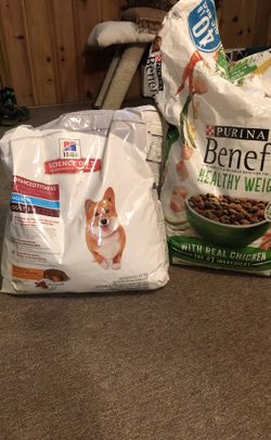 Dog food